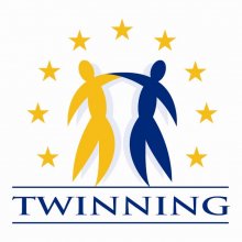 EU Twinning Logo